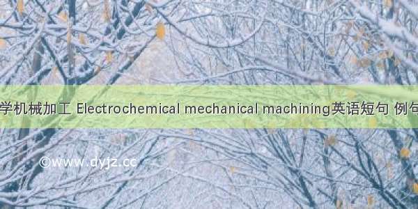 电化学机械加工 Electrochemical mechanical machining英语短句 例句大全