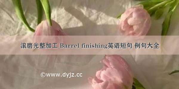 滚磨光整加工 Barrel finishing英语短句 例句大全