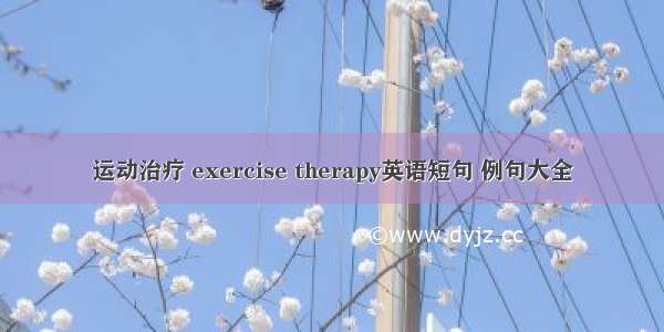 运动治疗 exercise therapy英语短句 例句大全