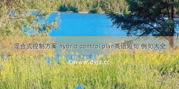 混合式控制方案 hybrid control plan英语短句 例句大全