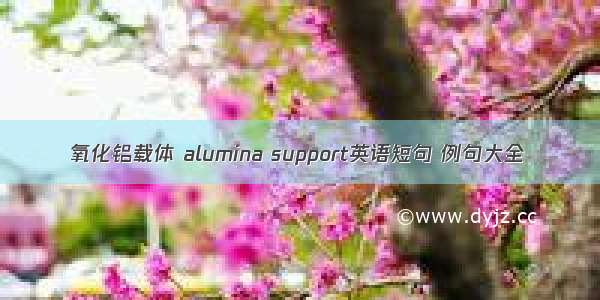 氧化铝载体 alumina support英语短句 例句大全