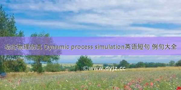 动态物理仿真 Dynamic process simulation英语短句 例句大全