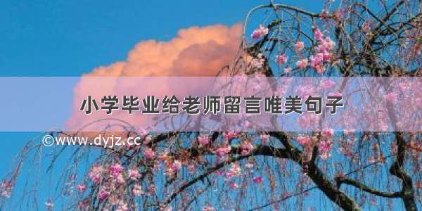 小学毕业给老师留言唯美句子