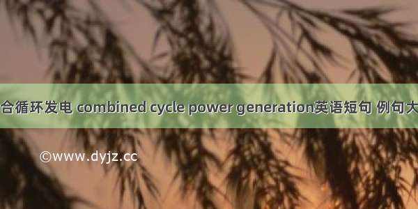 联合循环发电 combined cycle power generation英语短句 例句大全