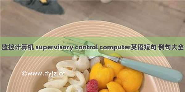 监控计算机 supervisory control computer英语短句 例句大全