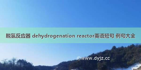 脱氢反应器 dehydrogenation reactor英语短句 例句大全