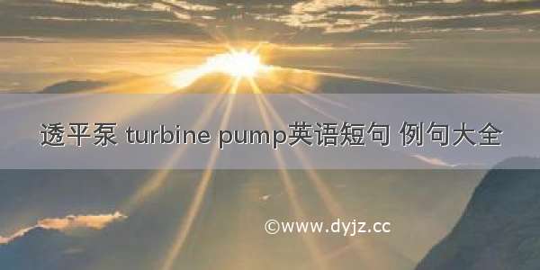 透平泵 turbine pump英语短句 例句大全