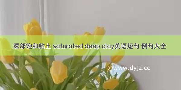 深部饱和粘土 saturated deep clay英语短句 例句大全