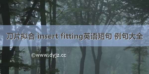 刀片拟合 insert fitting英语短句 例句大全