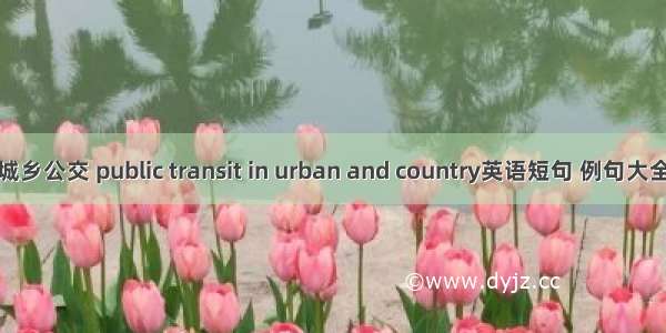 城乡公交 public transit in urban and country英语短句 例句大全