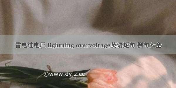 雷电过电压 lightning overvoltage英语短句 例句大全