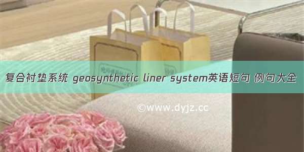 复合衬垫系统 geosynthetic liner system英语短句 例句大全