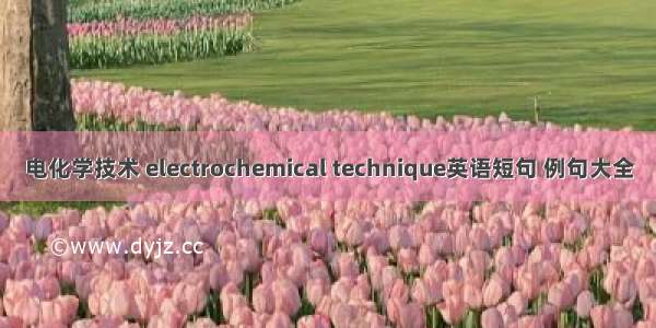 电化学技术 electrochemical technique英语短句 例句大全