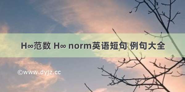 H∞范数 H∞ norm英语短句 例句大全