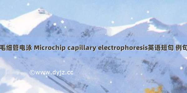 芯片毛细管电泳 Microchip capillary electrophoresis英语短句 例句大全