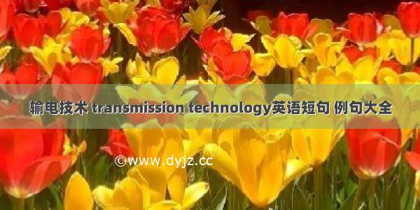 输电技术 transmission technology英语短句 例句大全