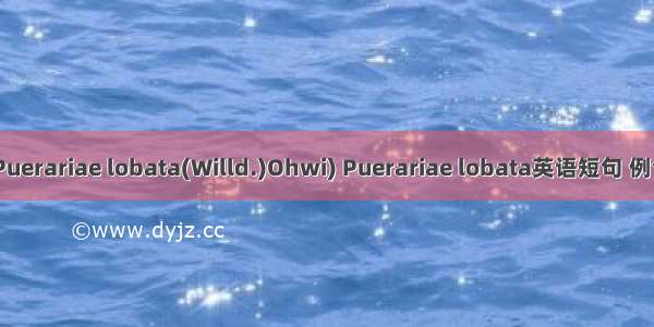 葛根(Puerariae lobata(Willd.)Ohwi) Puerariae lobata英语短句 例句大全