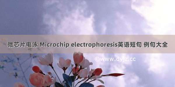 微芯片电泳 Microchip electrophoresis英语短句 例句大全
