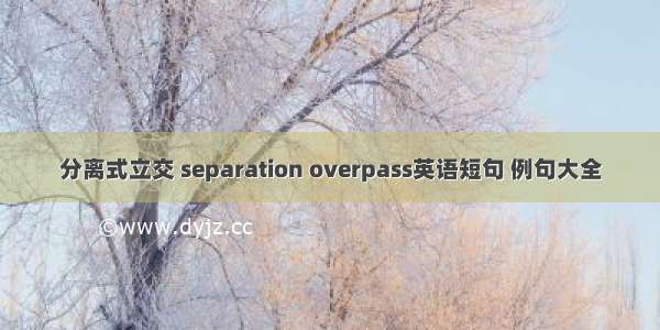 分离式立交 separation overpass英语短句 例句大全