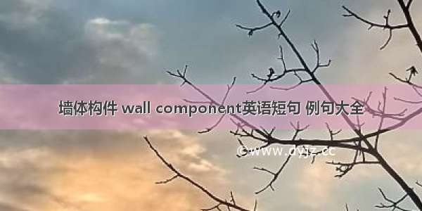 墙体构件 wall component英语短句 例句大全