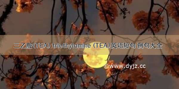 三乙胺(TEA) triethylamine (TEA)英语短句 例句大全
