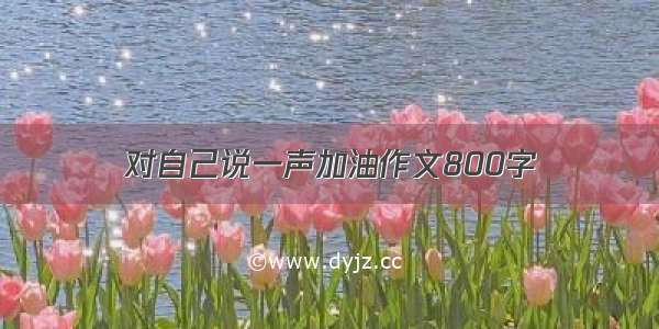 对自己说一声加油作文800字