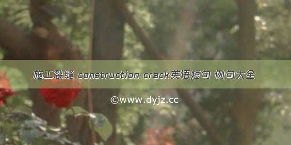 施工裂缝 construction crack英语短句 例句大全