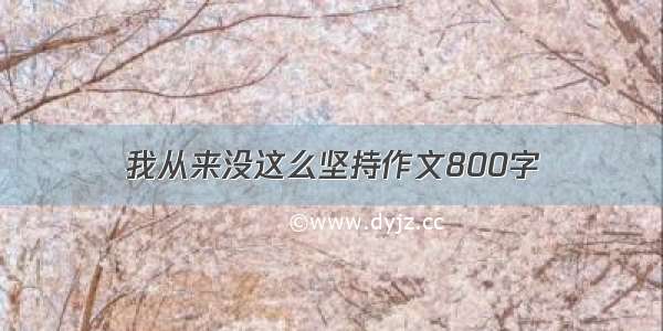 我从来没这么坚持作文800字