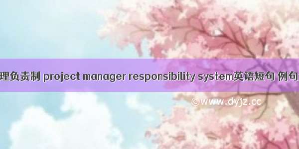 项目经理负责制 project manager responsibility system英语短句 例句大全