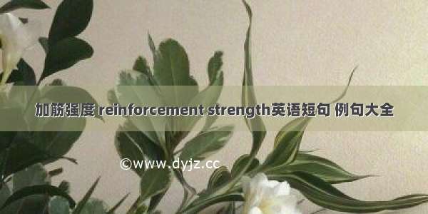 加筋强度 reinforcement strength英语短句 例句大全