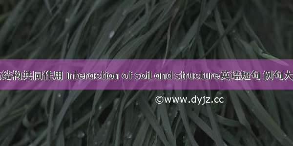 土与结构共同作用 interaction of soil and structure英语短句 例句大全