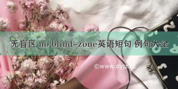无盲区 no blind-zone英语短句 例句大全