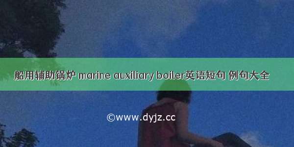 船用辅助锅炉 marine auxiliary boiler英语短句 例句大全