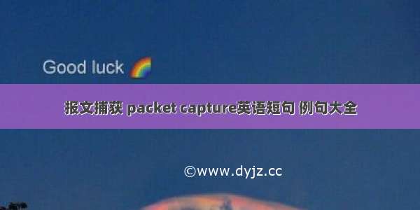 报文捕获 packet capture英语短句 例句大全