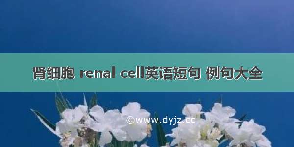 肾细胞 renal cell英语短句 例句大全