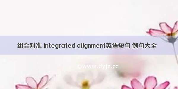 组合对准 integrated alignment英语短句 例句大全