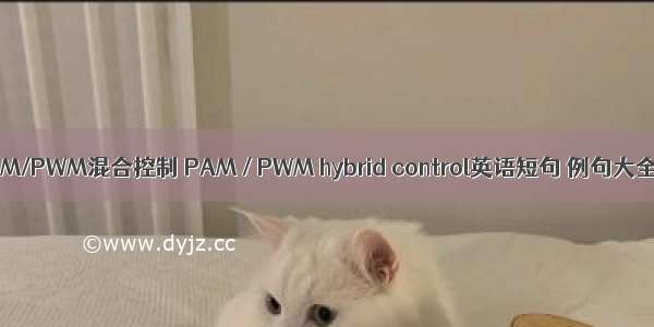 PAM/PWM混合控制 PAM / PWM hybrid control英语短句 例句大全