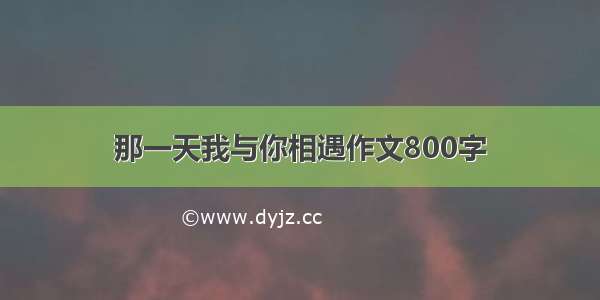 那一天我与你相遇作文800字