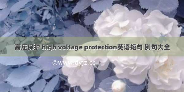 高压保护 high voltage protection英语短句 例句大全