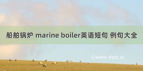 船舶锅炉 marine boiler英语短句 例句大全