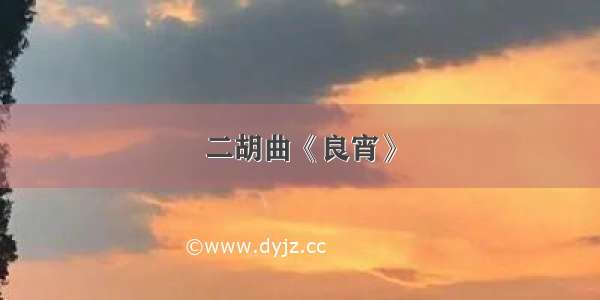 二胡曲《良宵》