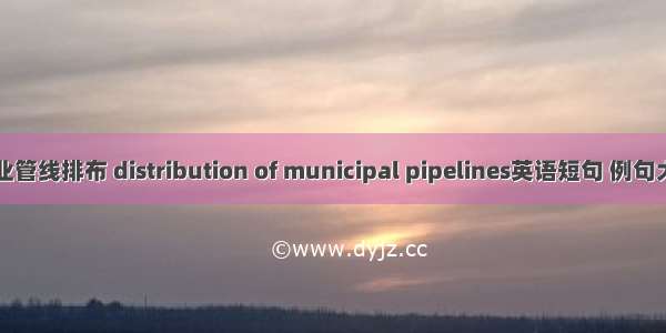 专业管线排布 distribution of municipal pipelines英语短句 例句大全