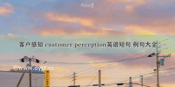 客户感知 customer perception英语短句 例句大全
