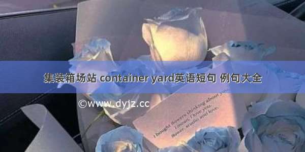 集装箱场站 container yard英语短句 例句大全