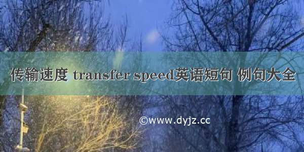 传输速度 transfer speed英语短句 例句大全