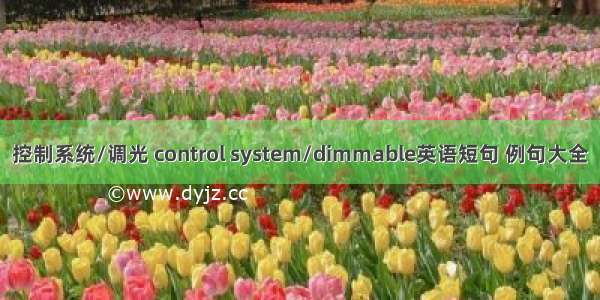 控制系统/调光 control system/dimmable英语短句 例句大全