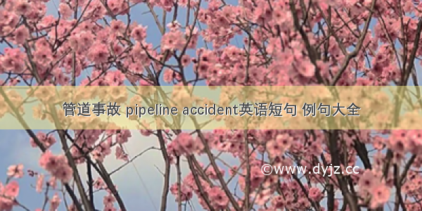 管道事故 pipeline accident英语短句 例句大全