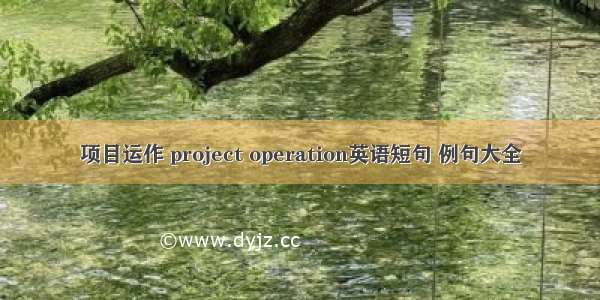 项目运作 project operation英语短句 例句大全
