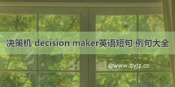 决策机 decision maker英语短句 例句大全