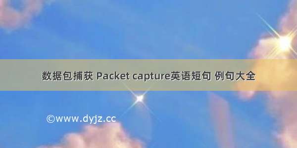 数据包捕获 Packet capture英语短句 例句大全